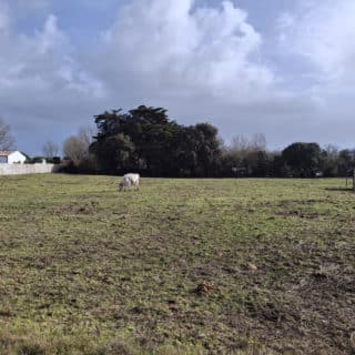 Terrain constructible à vendre en Vendée à Saint hilaire de riez